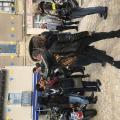 IMG_3685---Copie