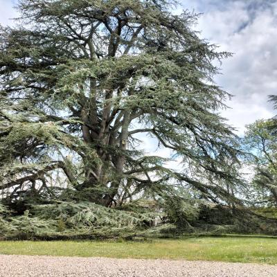 Château d'Oiron (79) - Dimanche 3 avril 2022