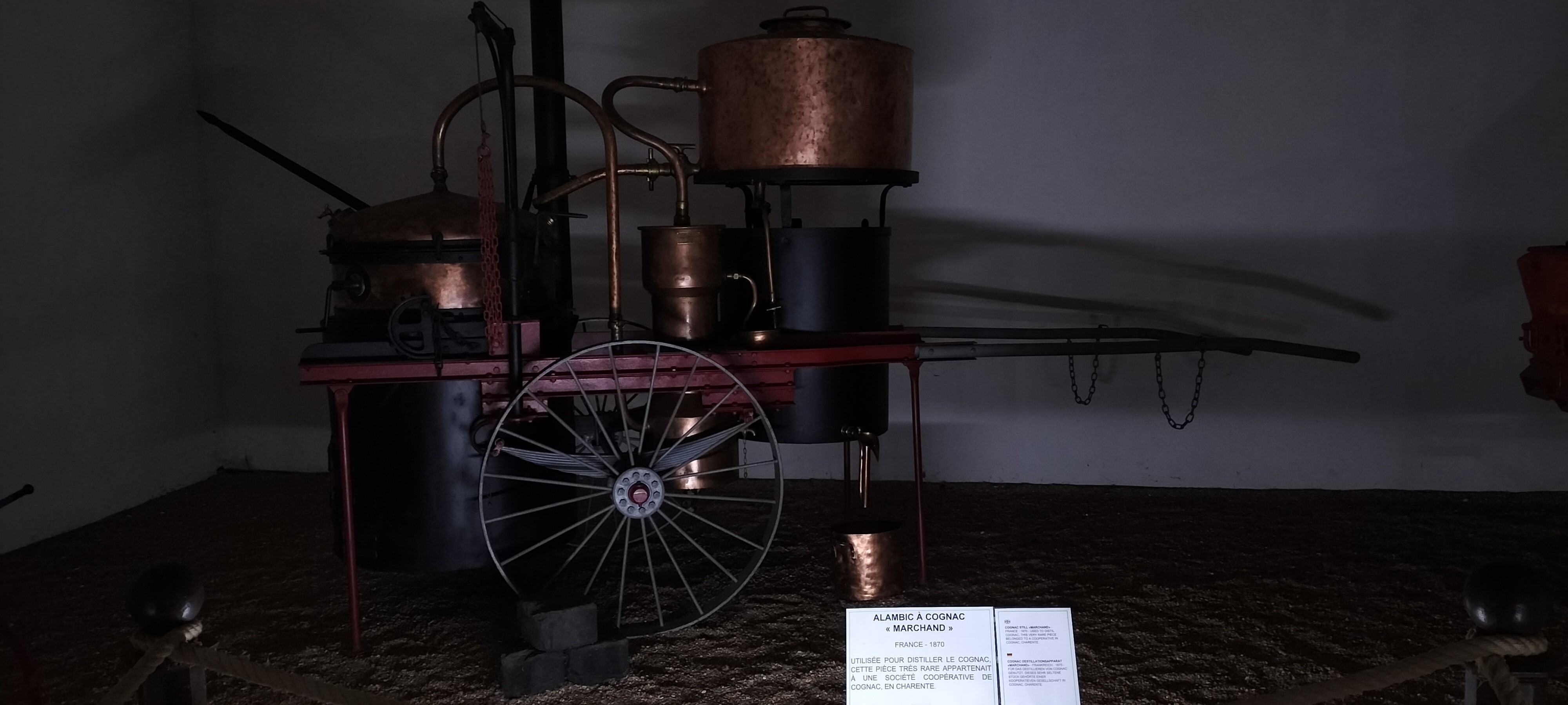 Img20230423150519